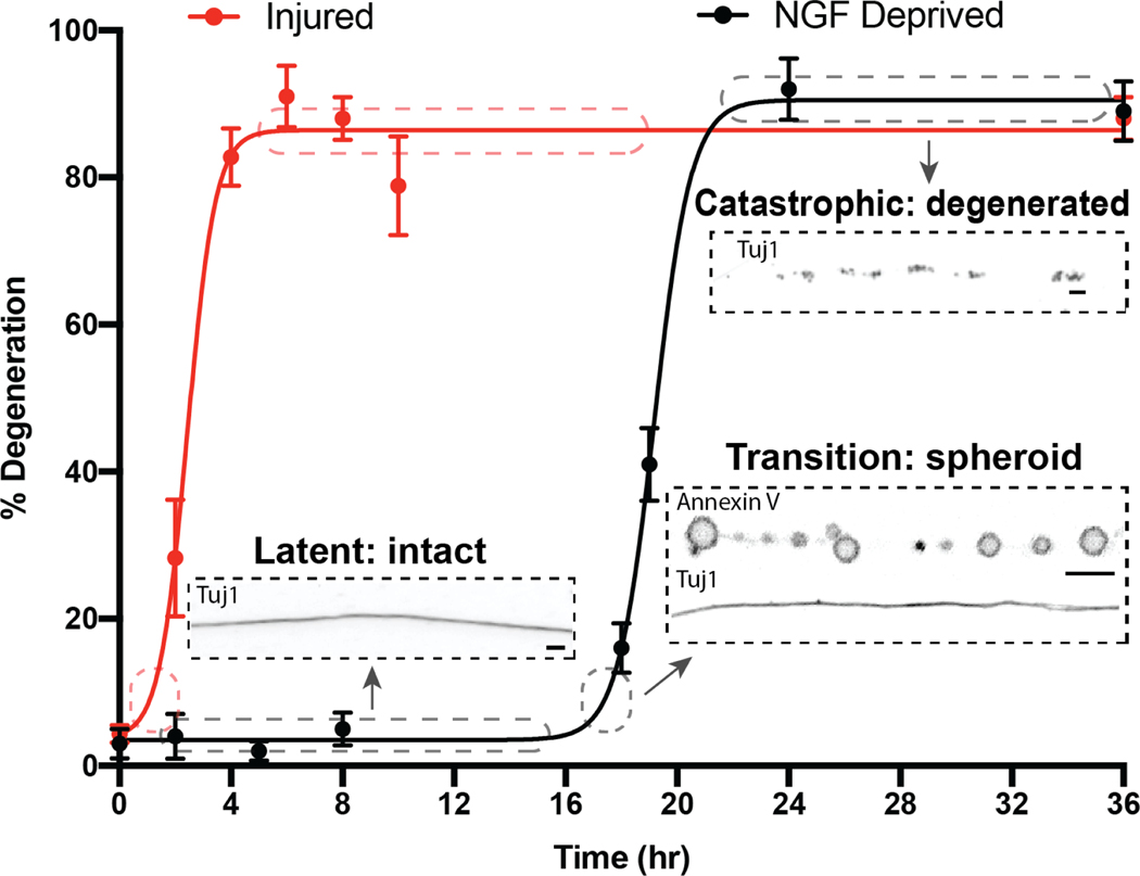 Figure 1: