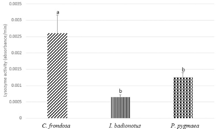 Fig 5