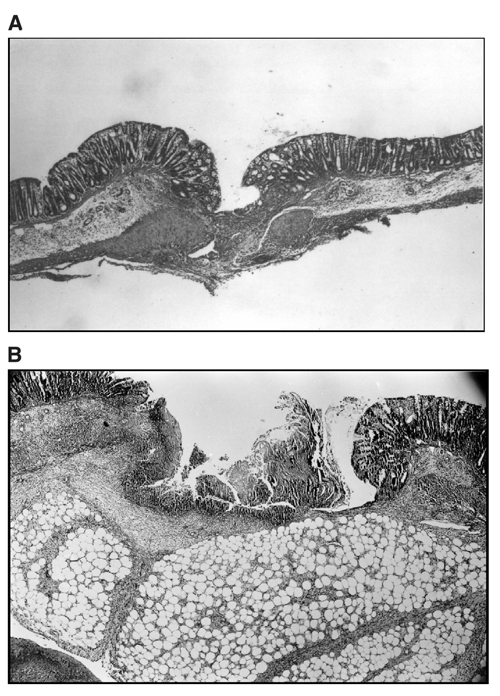 graphic file with name 7FF6.jpg