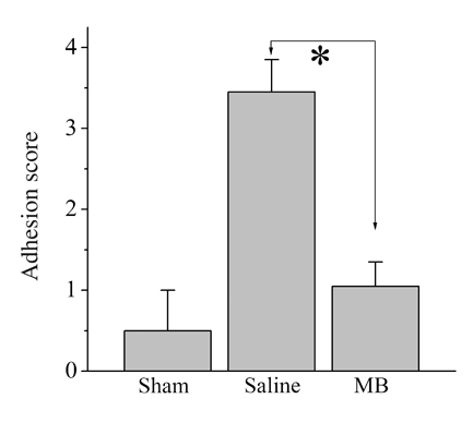 graphic file with name 7FF5.jpg