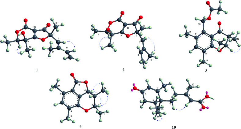 Fig. 3