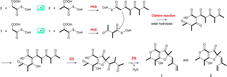 Scheme 1