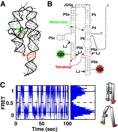 FIGURE 1.