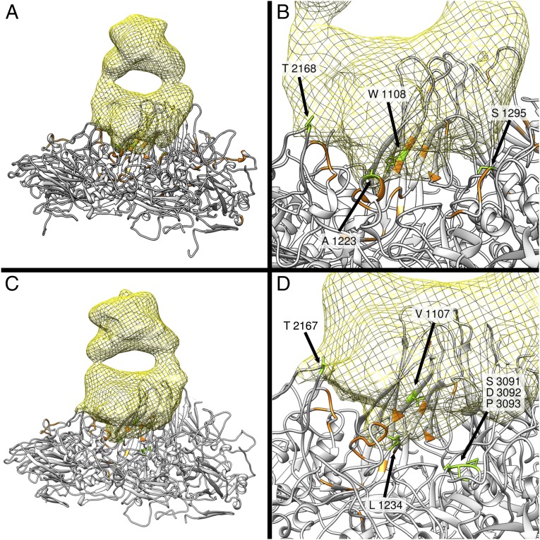 Fig. 3.