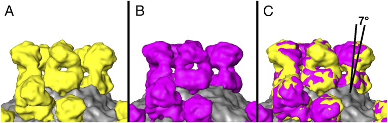 Fig. 2.