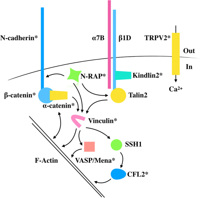 Fig. 2