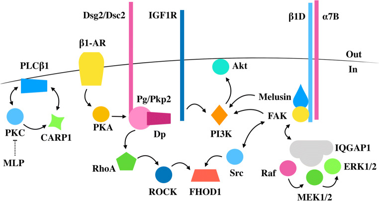 Fig. 3