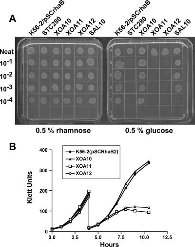 FIG. 2.