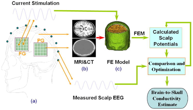 Fig. 1