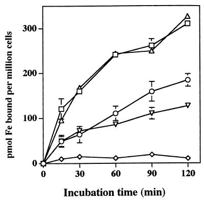 FIG. 6