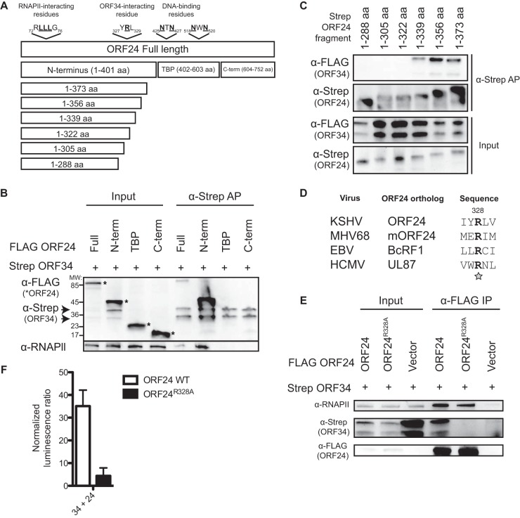 FIG 2