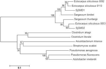 Fig. 2