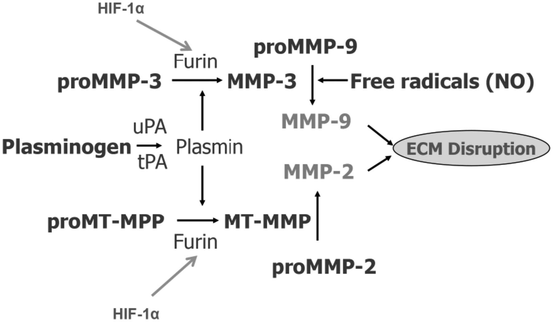 Figure 4: