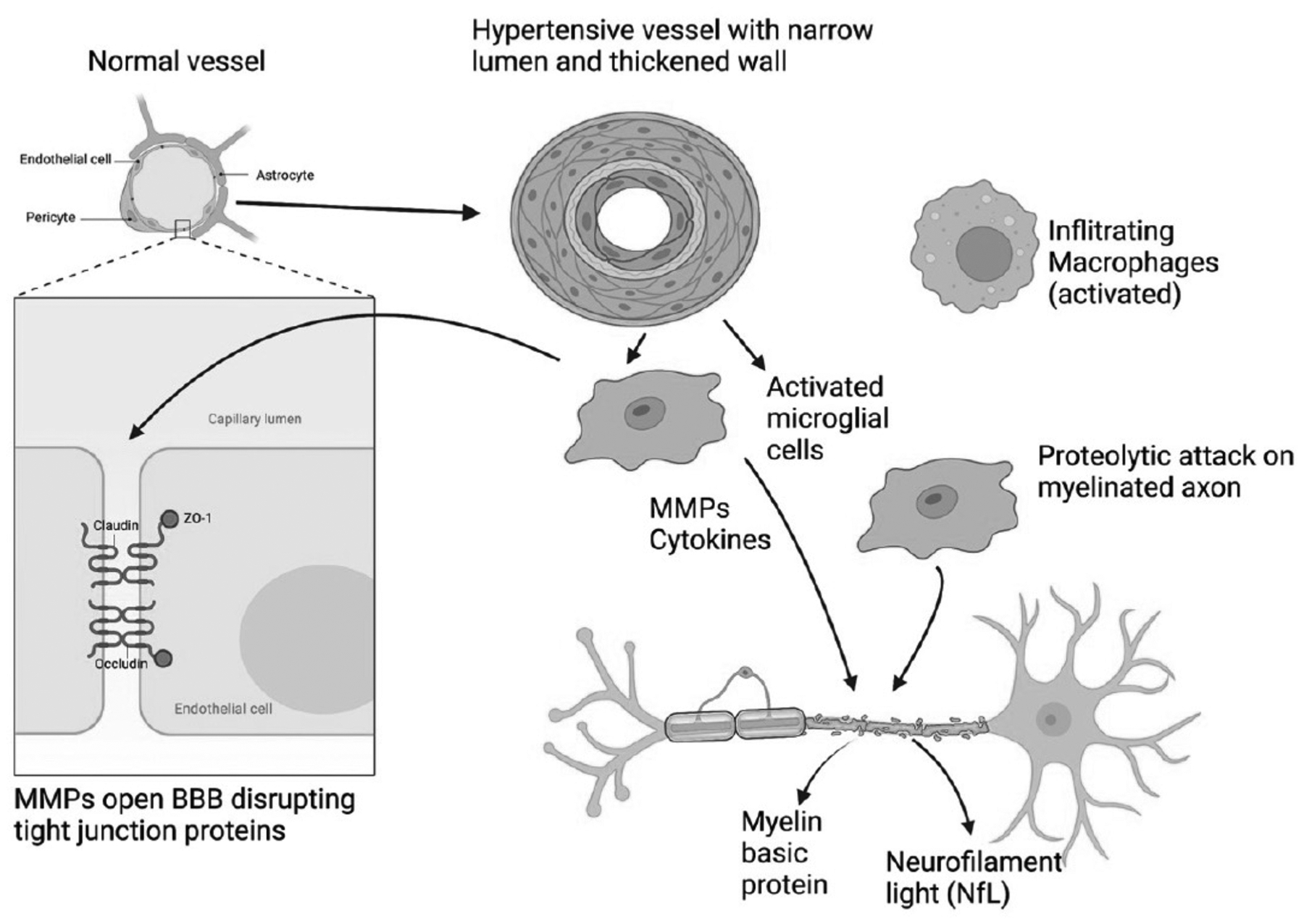 Figure 7: