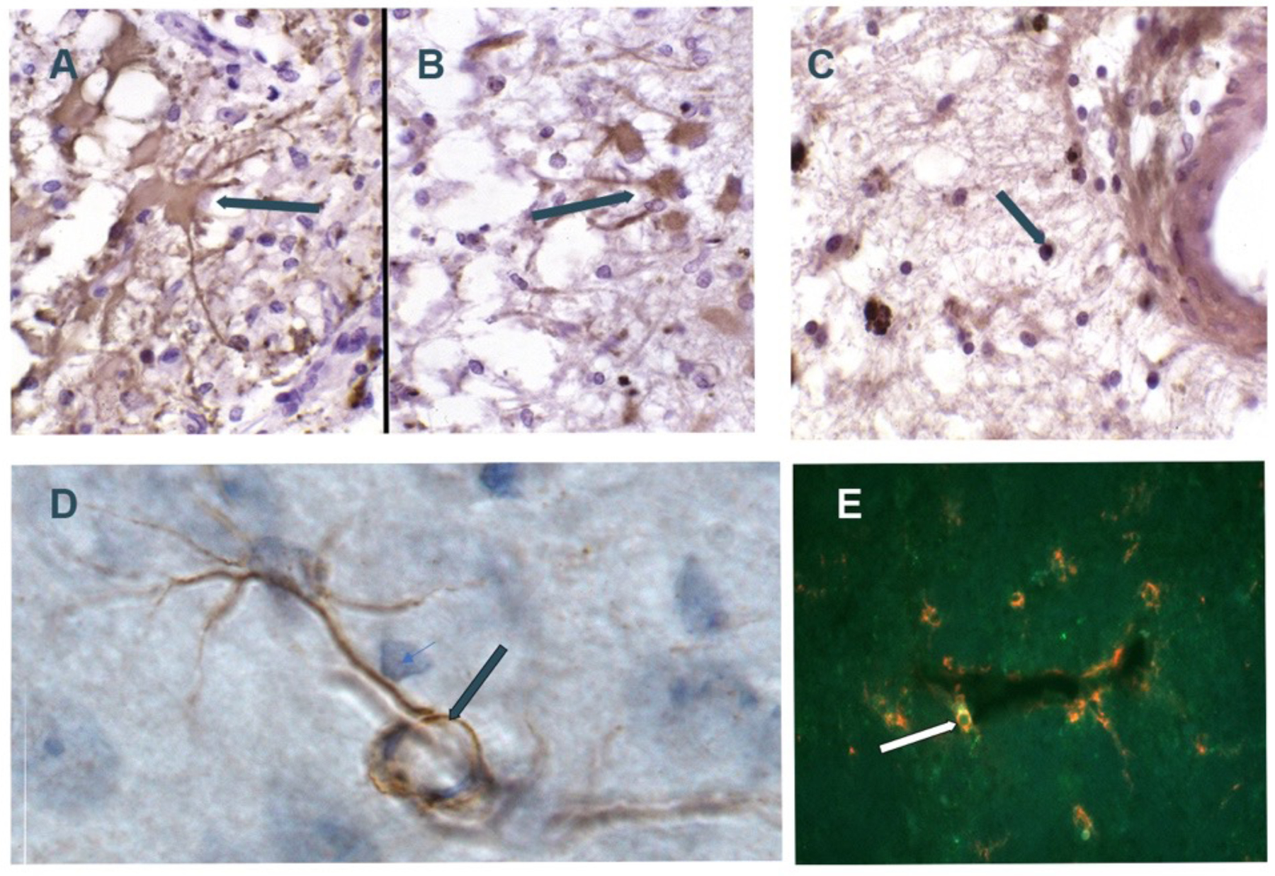 Figure 5: