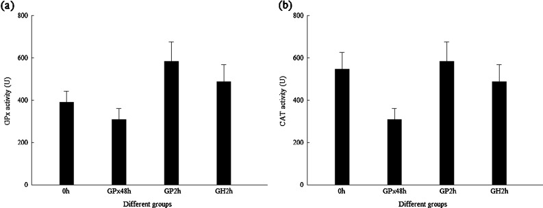 Fig. 10