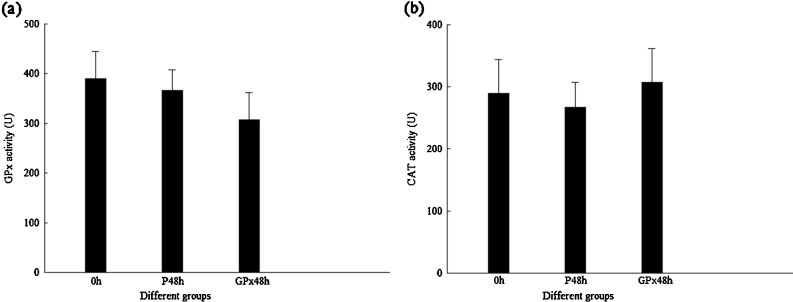 Fig. 7