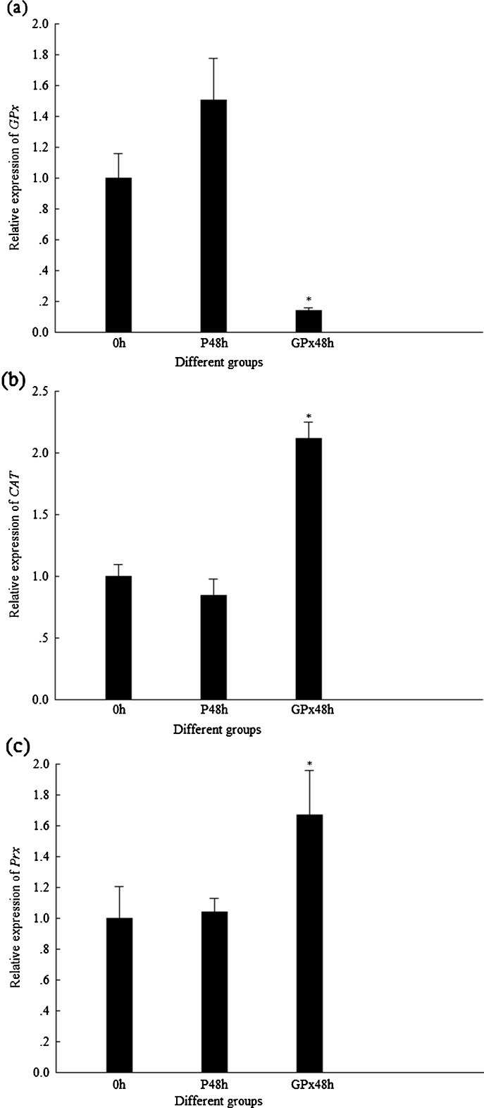 Fig. 6