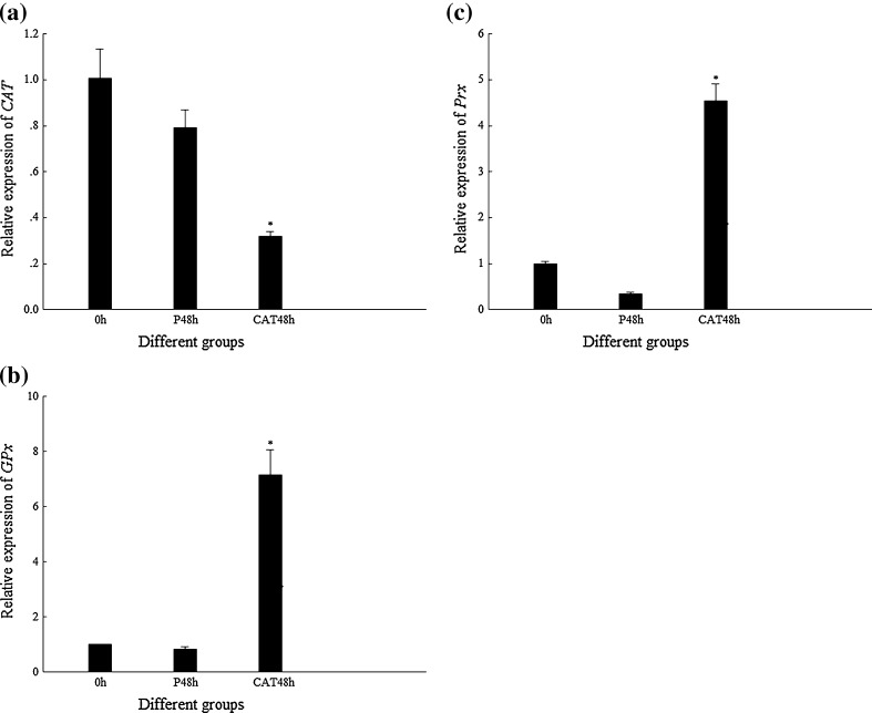 Fig. 4