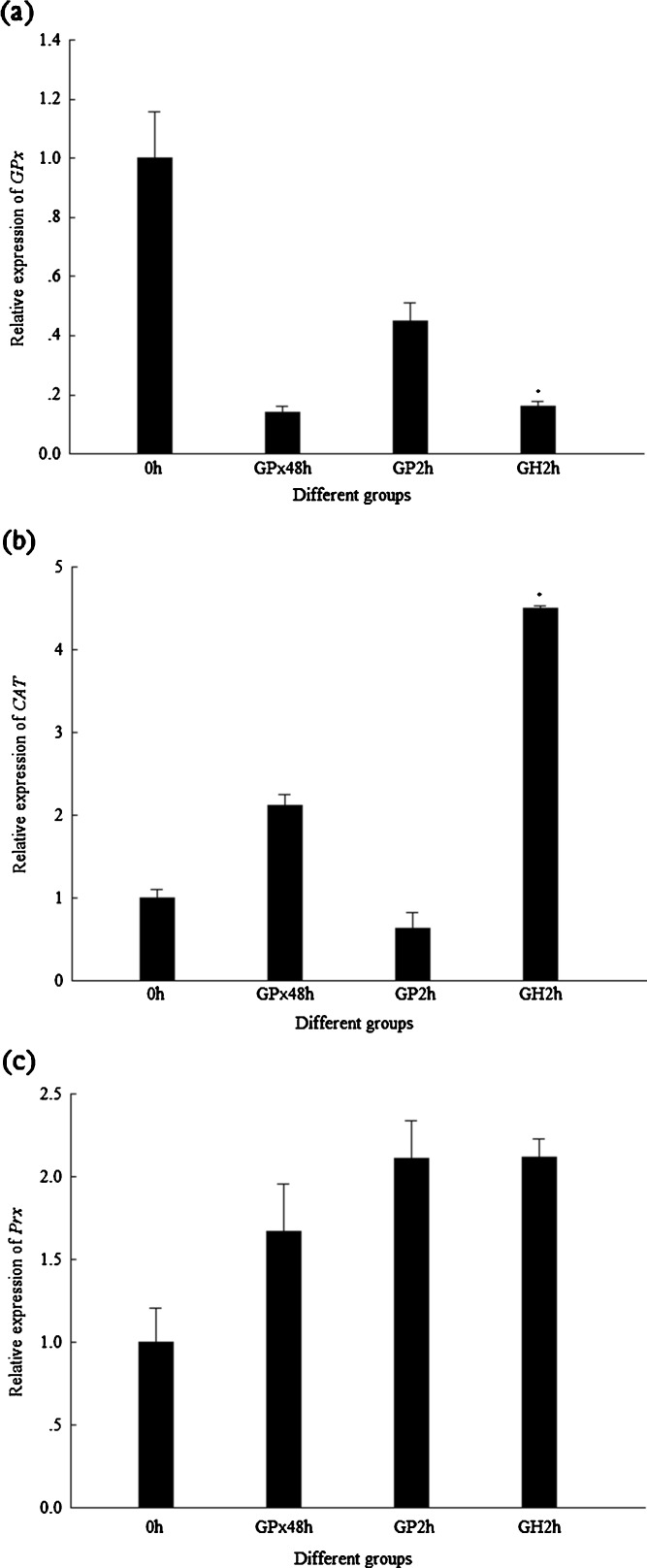 Fig. 9