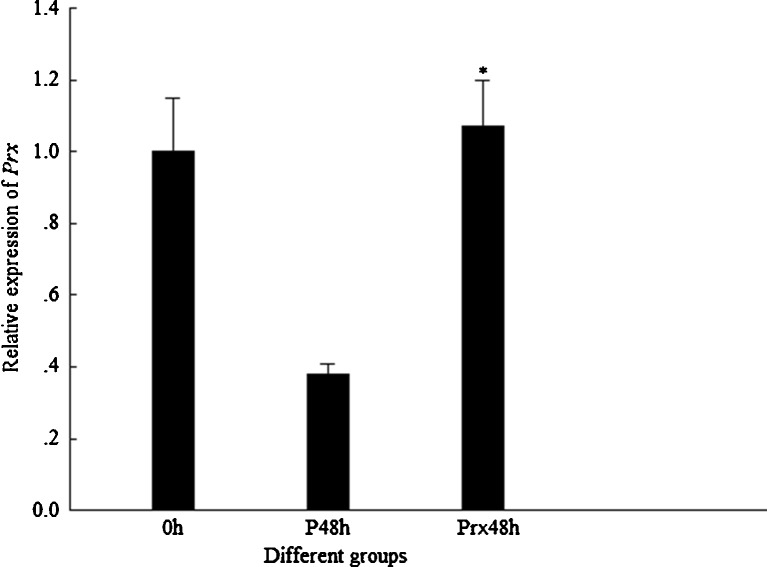 Fig. 8