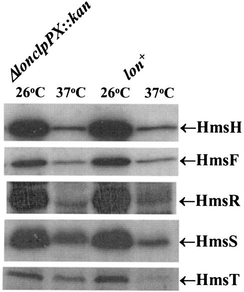 FIG. 9.