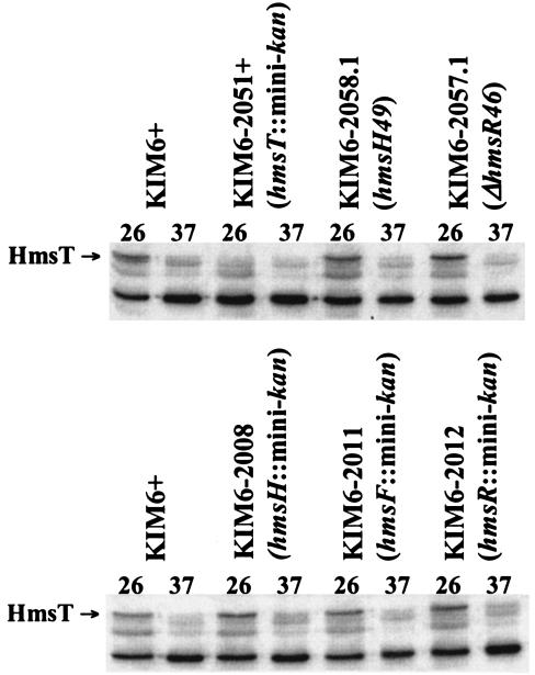 FIG. 6.