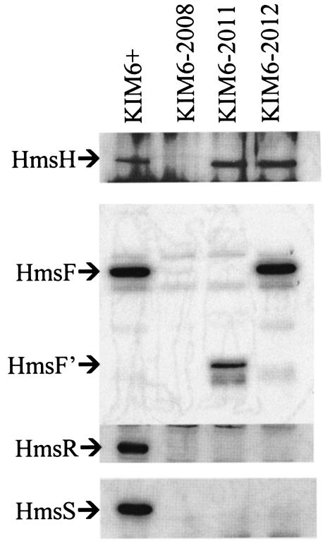 FIG. 3.