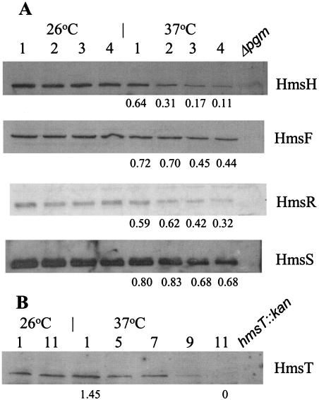 FIG. 8.