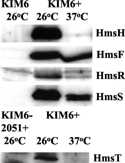 FIG. 7.