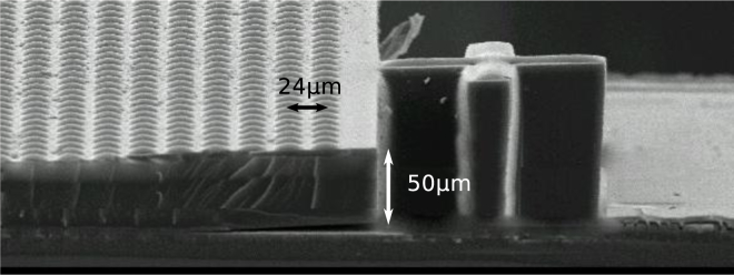 Fig. 10