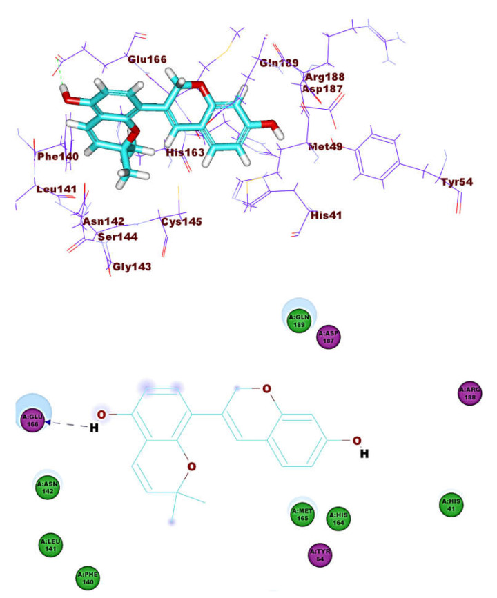 Figure 10