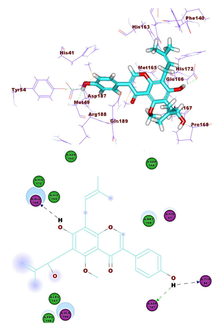 Figure 13