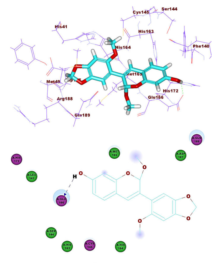 Figure 11