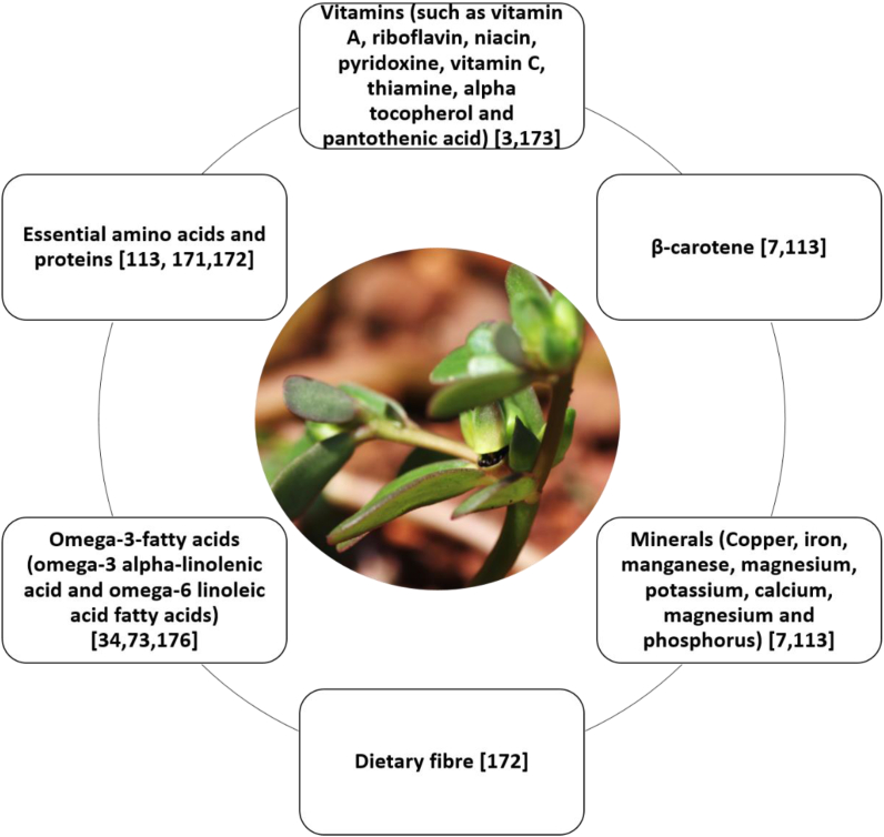 Figure 3