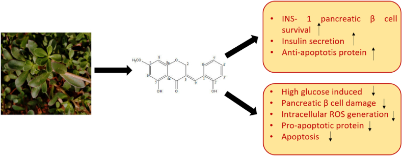 Figure 6