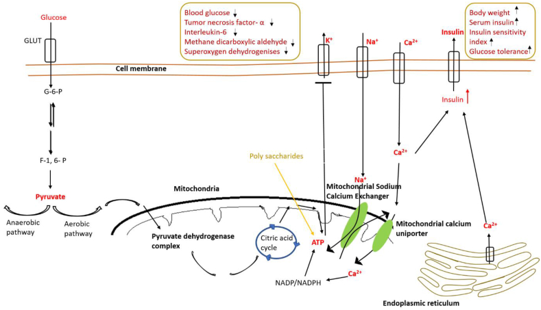 Figure 7