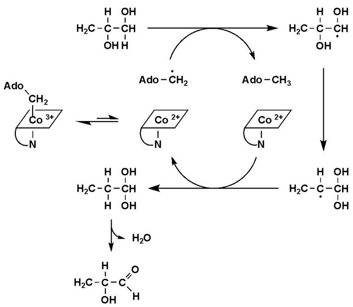 Scheme 1