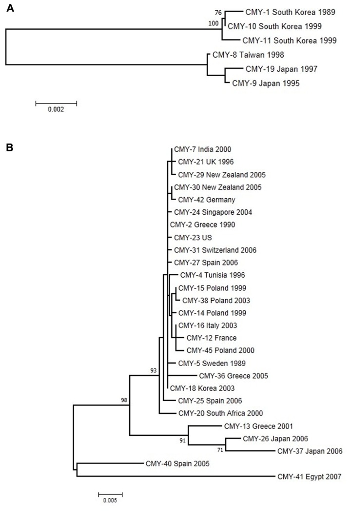 FIGURE 3