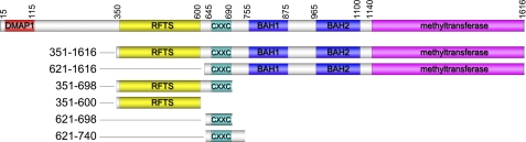 FIGURE 1.