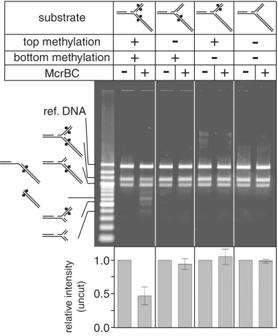 Figure 5.