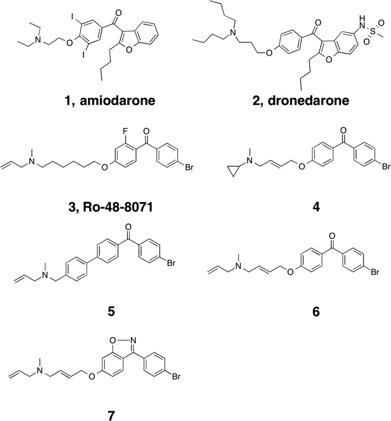 FIG 1