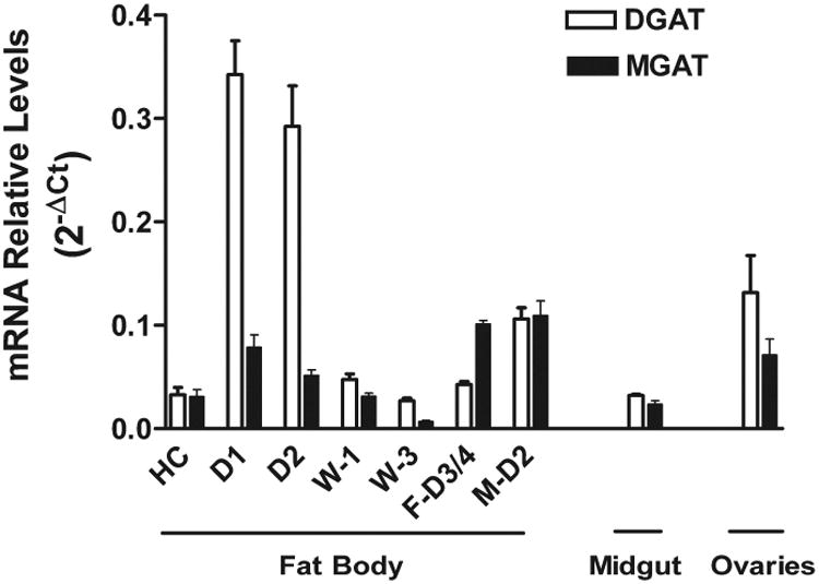 Figure 7