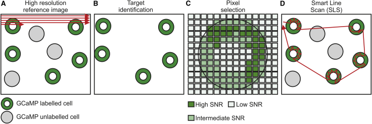 Figure 1