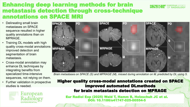 graphic file with name 41747_2025_554_Figa_HTML.jpg