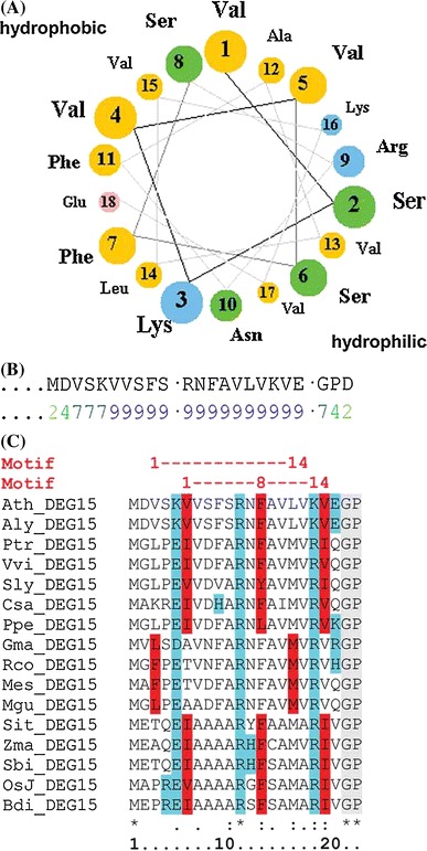 Fig. 3