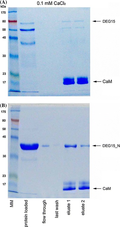 Fig. 2