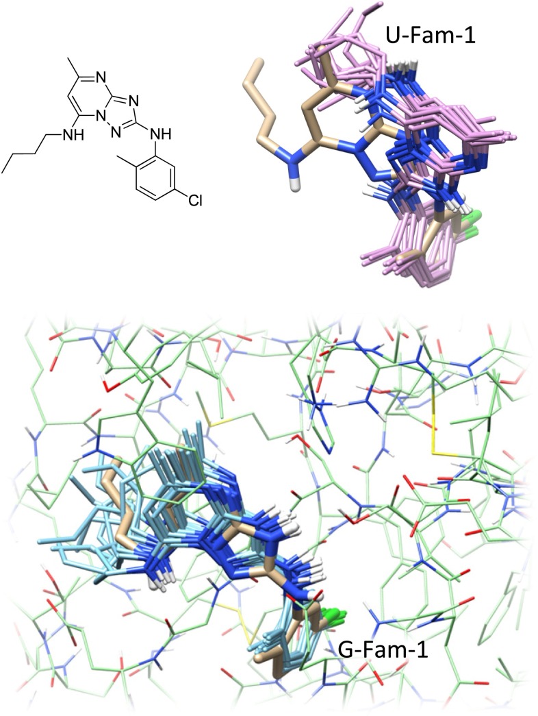 Fig. 12