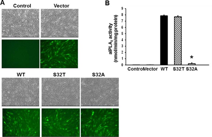 FIGURE 4.
