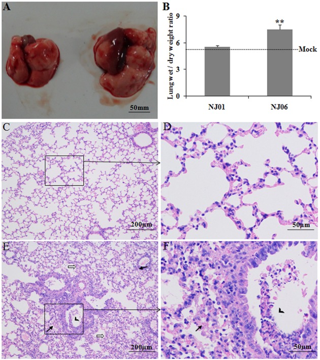 FIGURE 3